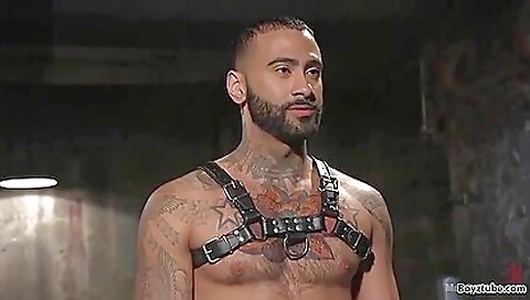 Brunette hair sucks off a big fat cock