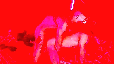 Shakynt ood up with a sex toy