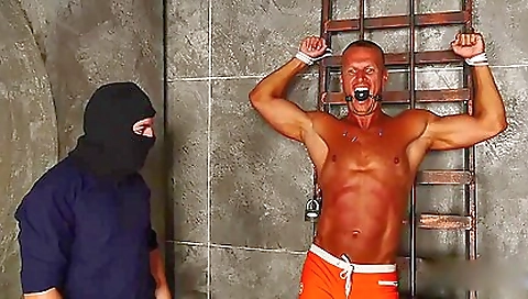 Sexy blonde fucked in whippedass video